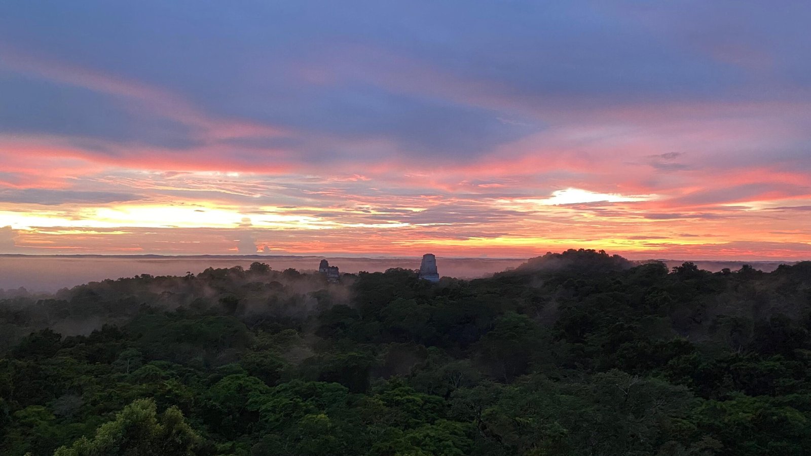 Tour de Aves en Tikal